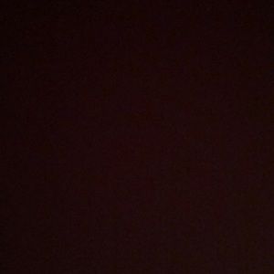 Meet your Posher, Kenny